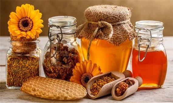 تولید بیش از 1800 تن عسل در کردستان/ کاهش 4 درصدی عسل در استان به دلیل خشکسالی