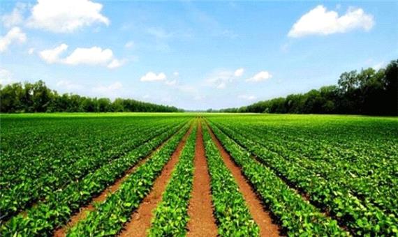 افتتاح 63 پروژه کشاورزی کرمانشاه در دهه فجر امسال