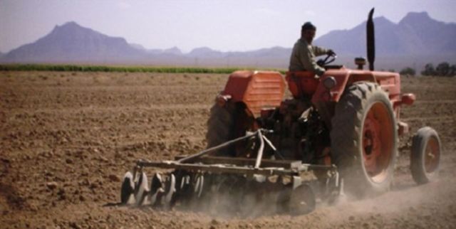 عمق خاک زراعی در کرمانشاه 25 سانتی‌متر است/ فرسایش خاک امنیت غذایی را تهدید می‌کند
